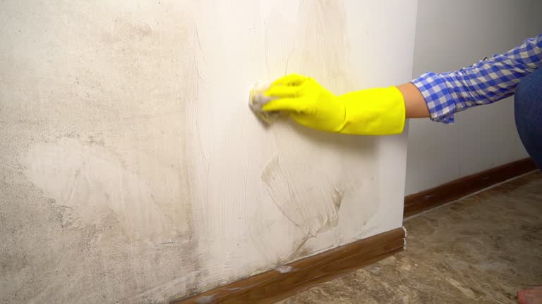 Mold Odor Removal Services in Cashion, OK